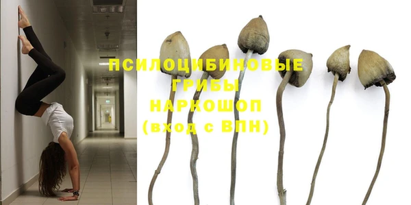 дживик Арсеньев