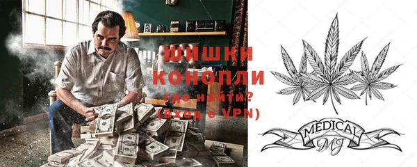 дживик Арсеньев