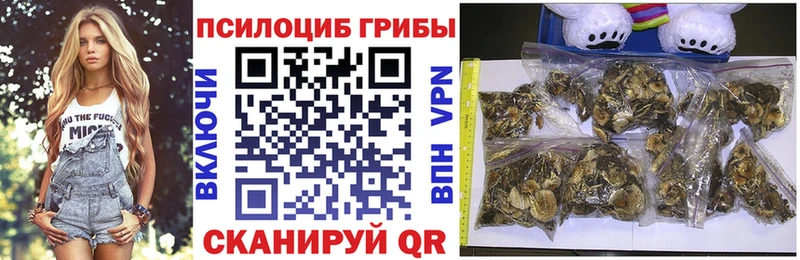 Галлюциногенные грибы Magic Shrooms  Лебедянь 
