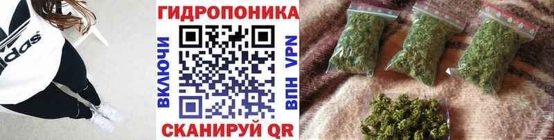 Марихуана OG Kush Лебедянь